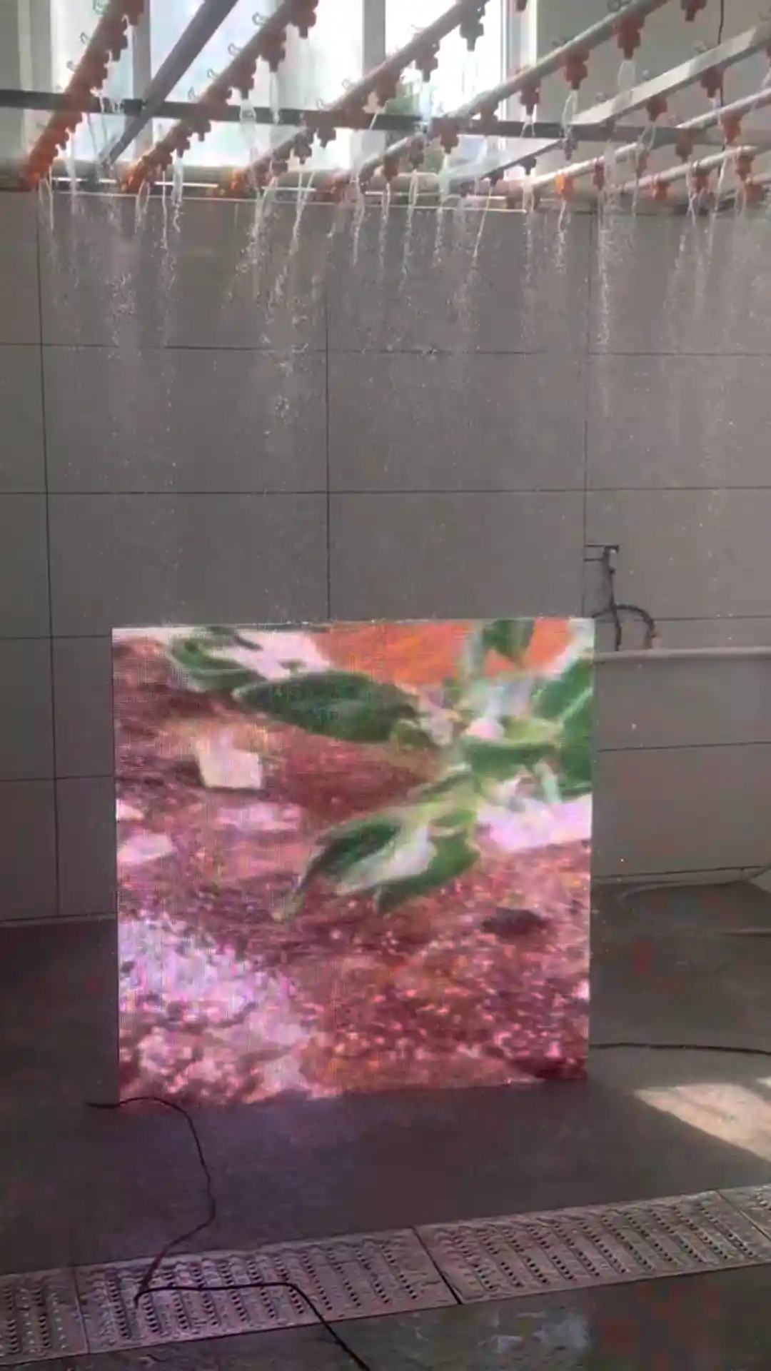 Waterproof LED Screen Testing